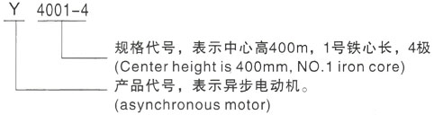 西安泰富西玛Y系列(H355-1000)高压YRKK8002-4三相异步电机型号说明