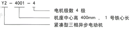 YR系列(H355-1000)高压YRKK8002-4三相异步电机西安西玛电机型号说明